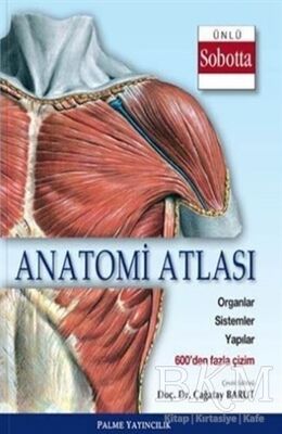 Anatomi Atlası Sobotta Çizimleri