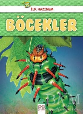 Böcekler - İlk Hazinem