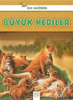 Büyük Kediler - İlk Hazinem