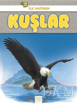 Kuşlar - İlk Hazinem