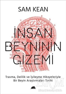 İnsan Beyninin Gizemi