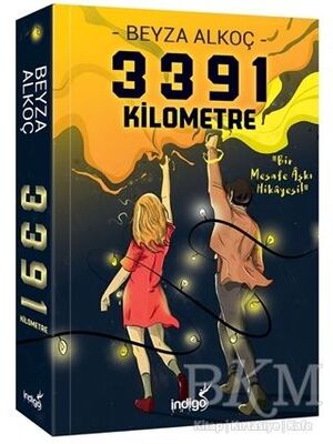 3391 Kilometre