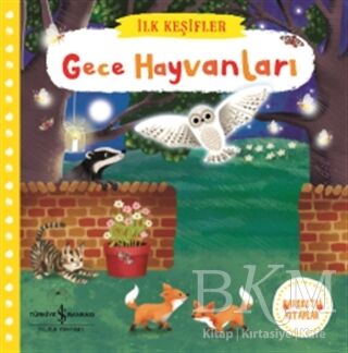 Gece Hayvanları