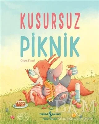 Kusursuz Piknik