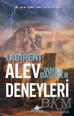 Labirent: Alev Deneyleri