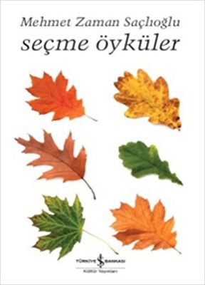 SEÇME ÖYKÜLER