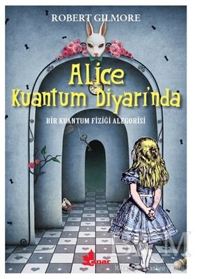 Alice Kuantum Diyarında