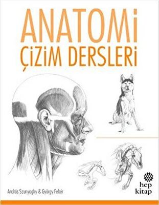 Anatomi Çizim Dersleri