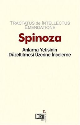 Anlama Yetisinin Düzeltilmesi Üzerine İnceleme