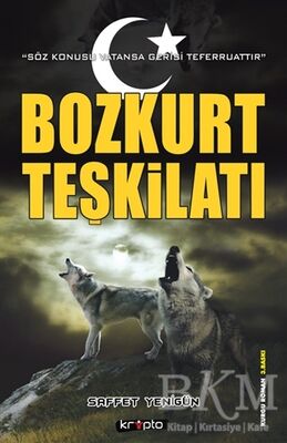 Bozkurt Teşkilatı