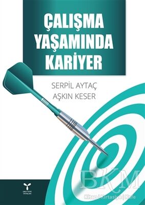 Çalışma Yaşamında Kariyer