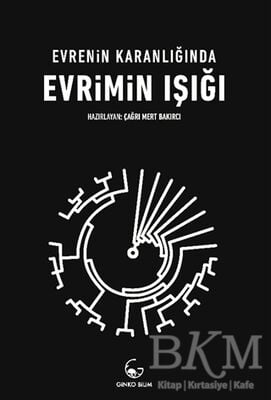 Evrenin Karanlığında Evrimin Işığı