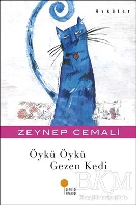 Öykü Öykü Gezen Kedi