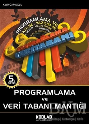 Programlama ve Veri Tabanı Mantığı