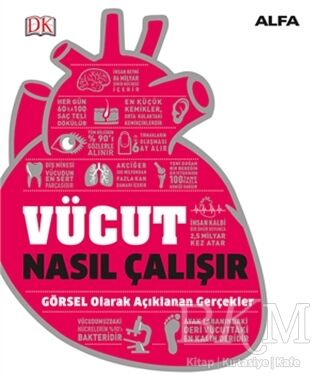 Vücut Nasıl Çalışır