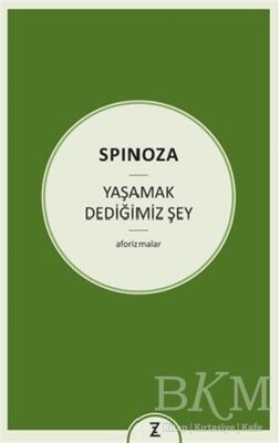 Yaşamak Dediğimiz Şey