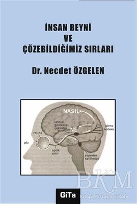 İnsan Beyni ve Çözebildiğimiz Sırları