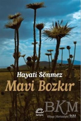 Mavi Bozkır