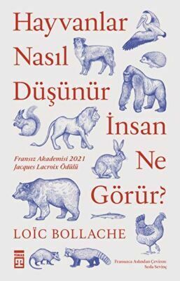 Hayvanlar Nasıl Düşünür İnsan Ne Görür?