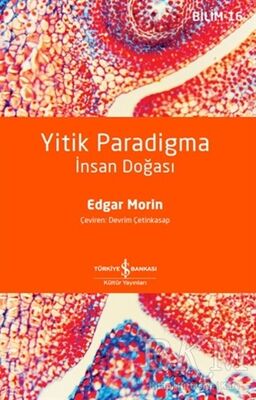 Yitik Paradigma