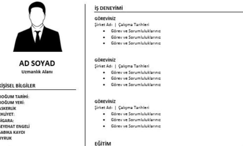 CV Örnekleri PDF indir