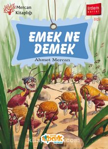 Emek Ne Demek