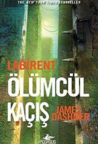 labirent olumcul kacis 374495 33 B