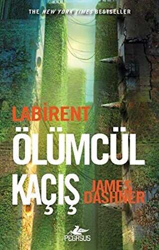 labirent olumcul kacis 374495 33 B